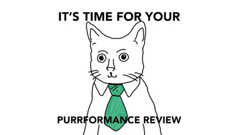 performance review cat